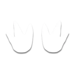 Penguin footprints