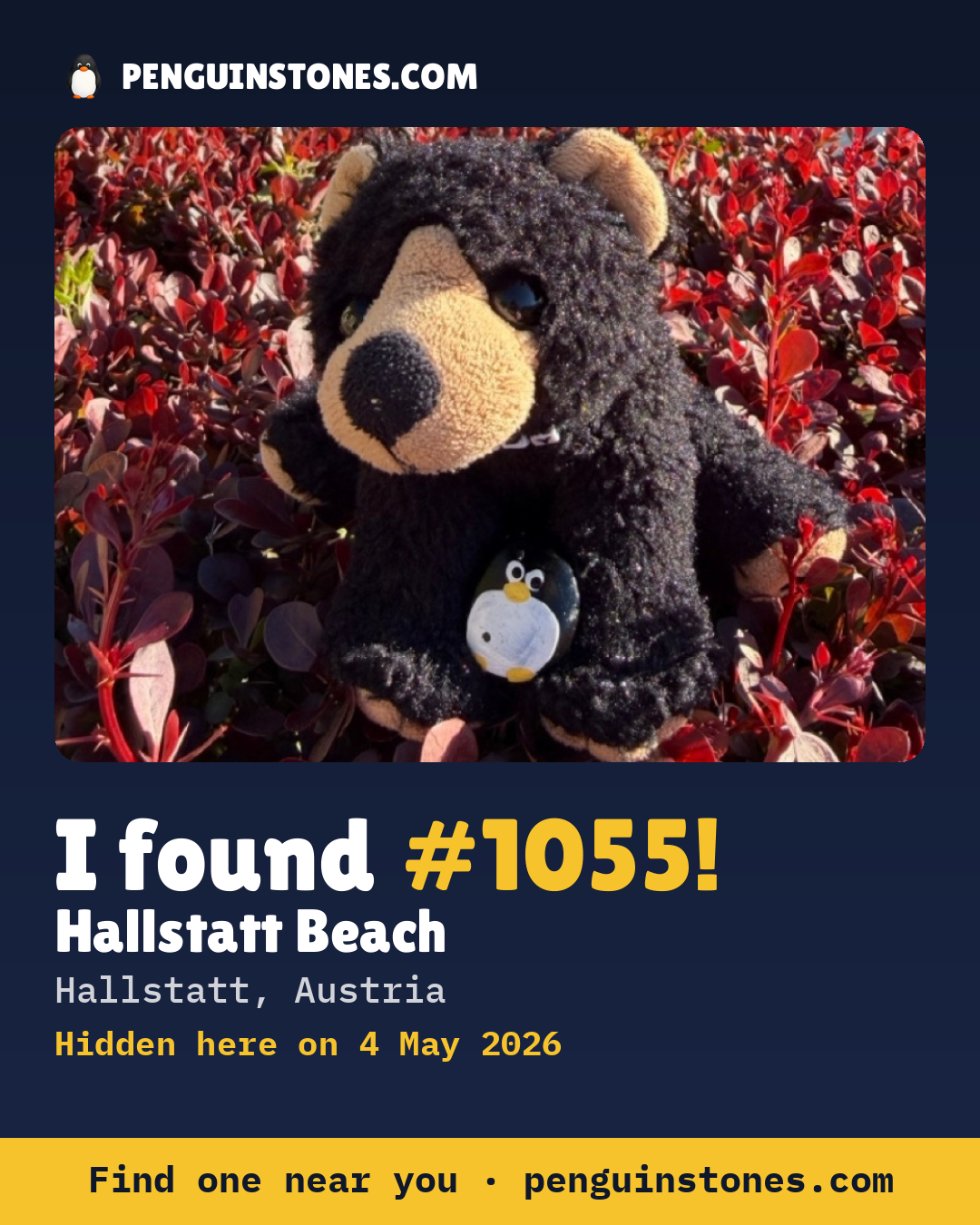 Obrázok s nápisom „I found #1055“: fotka kameňa, kde je a ako ďaleko docestoval