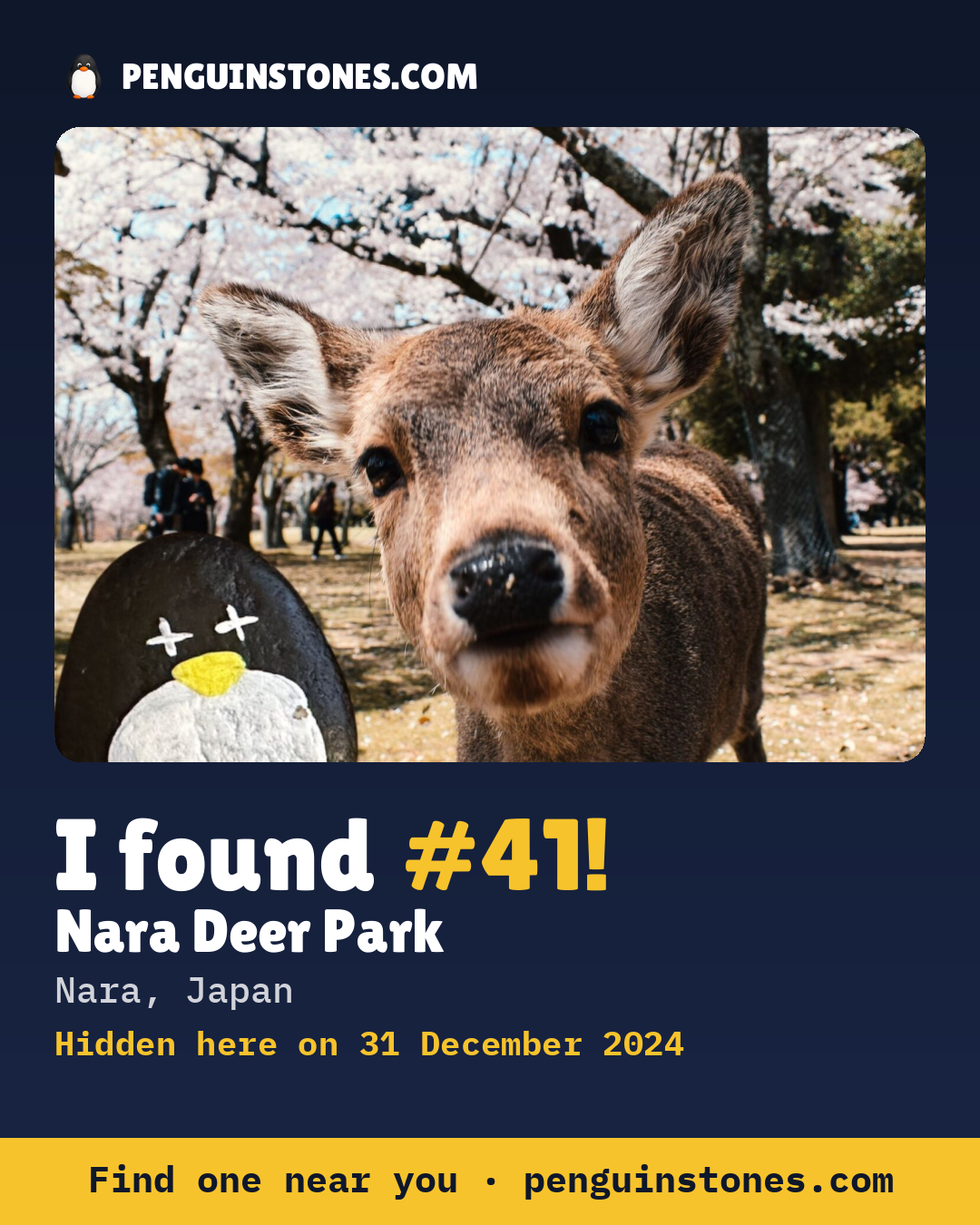 Obrázok s nápisom „I found #41“: fotka kameňa, kde je a ako ďaleko docestoval