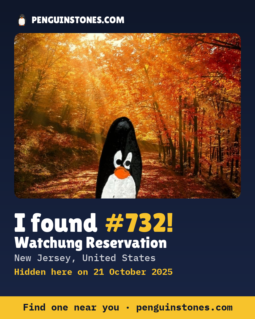 Obrázok s nápisom „I found #732“: fotka kameňa, kde je a ako ďaleko docestoval