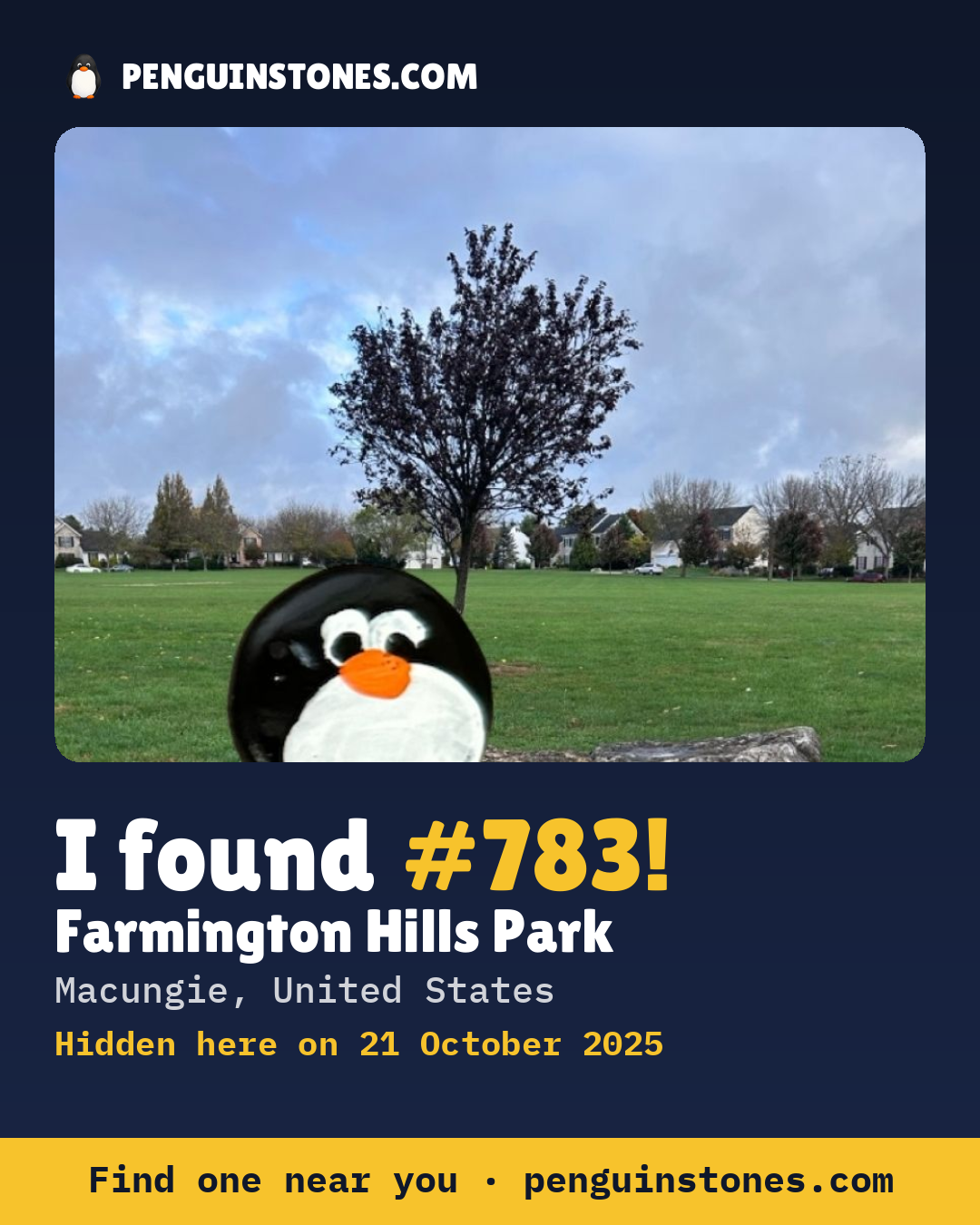 Obrázok s nápisom „I found #783“: fotka kameňa, kde je a ako ďaleko docestoval