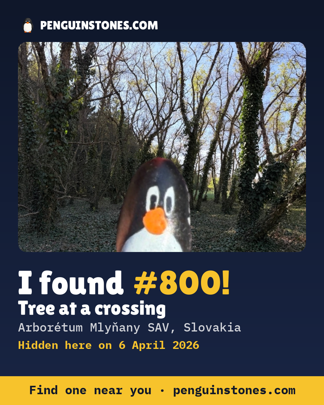 Obrázok s nápisom „I found #800“: fotka kameňa, kde je a ako ďaleko docestoval