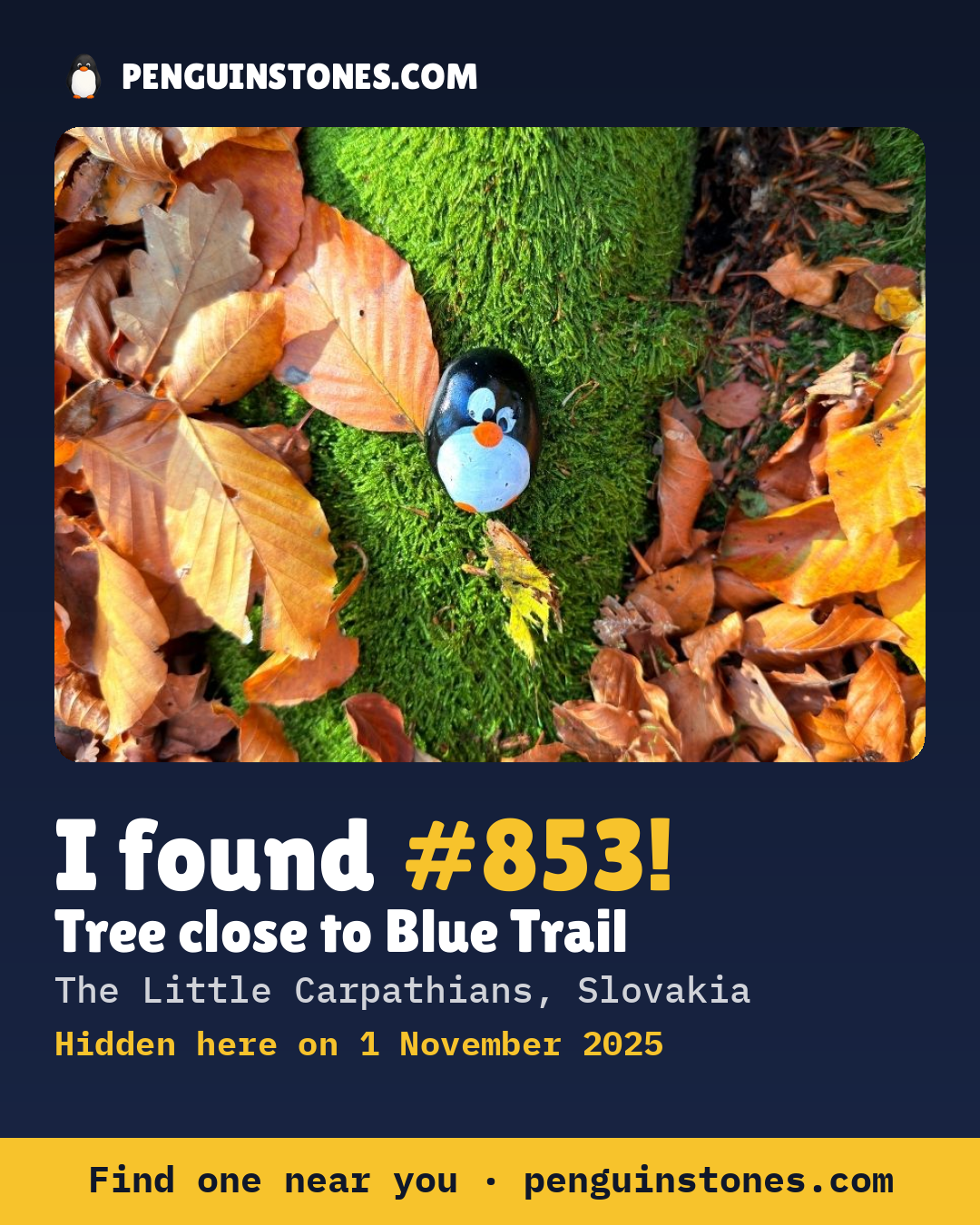 Obrázok s nápisom „I found #853“: fotka kameňa, kde je a ako ďaleko docestoval