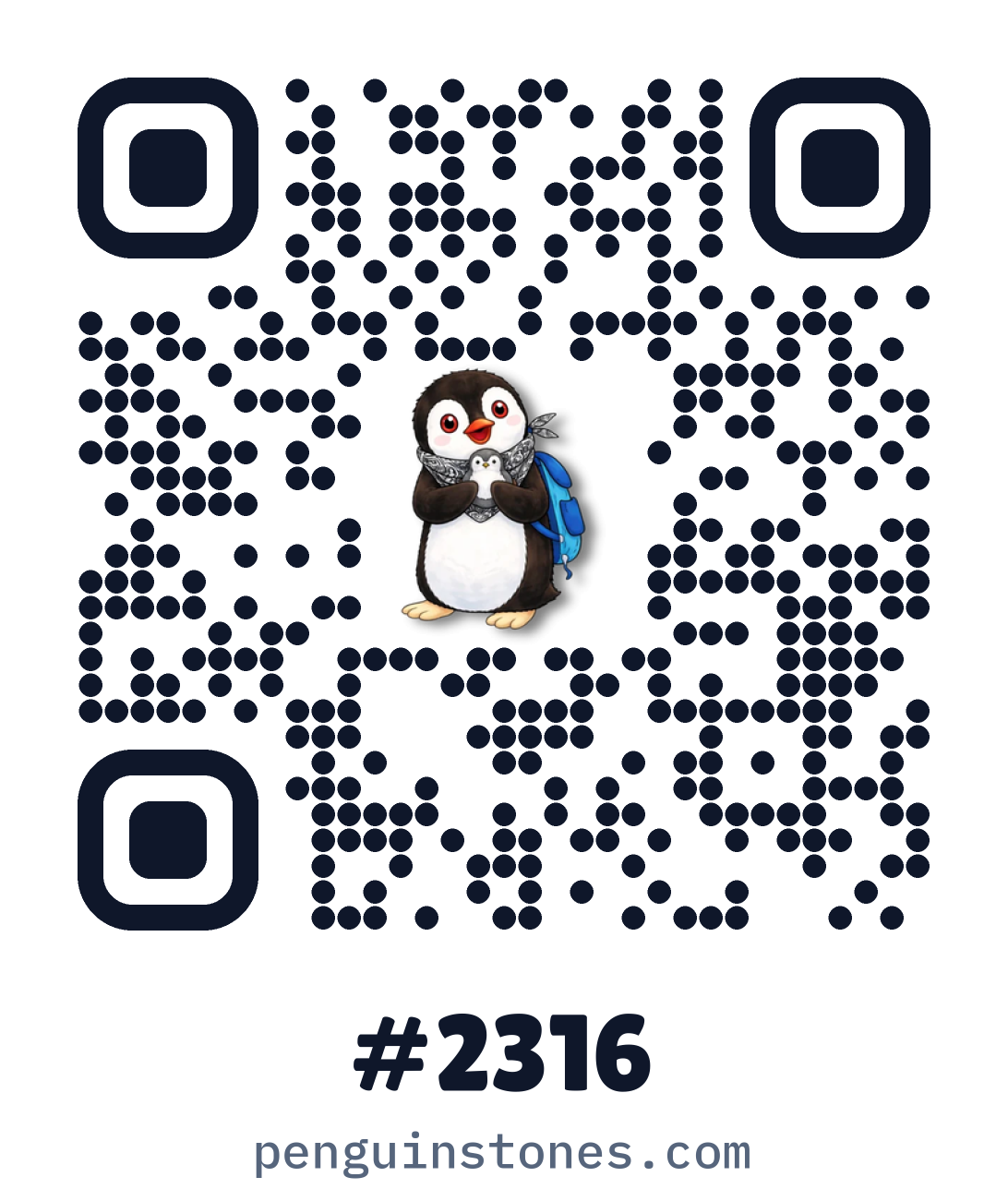 QR code of stone #2316