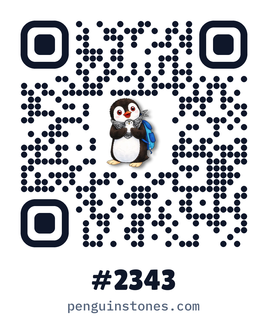 QR code of stone #2343