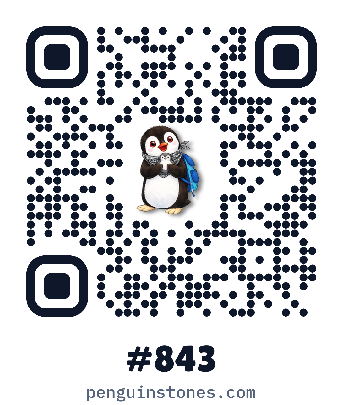 QR code of stone #843
