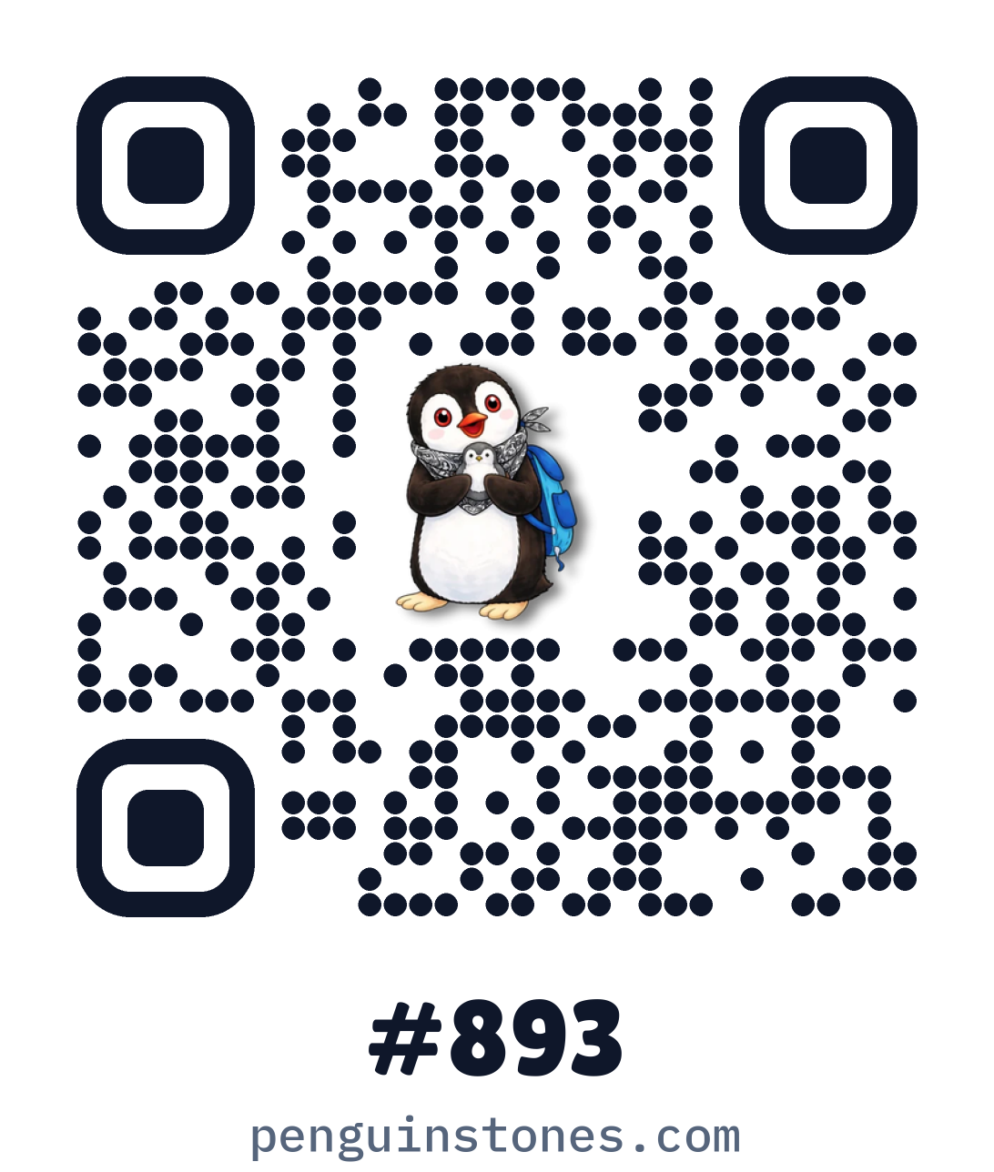 QR code of stone #893