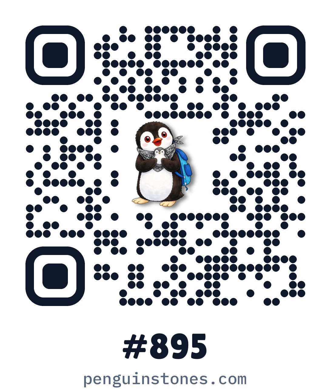 QR code of stone #895